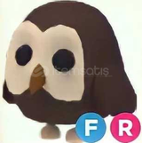 FR OWL