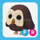 FR OWL