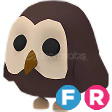 FR Owl  FR Owl