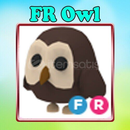 Fr Owl - Adopt me