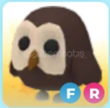 FR OWL Adopt Me 