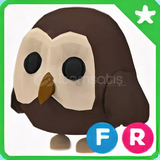 FR Owl Adopt Me