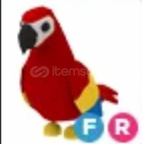 FR PARROT !!