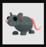 FR RAT 