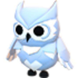 Fr Snow Owl