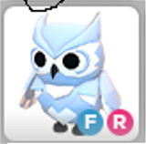 FR Snow Owl ( Değerli )
