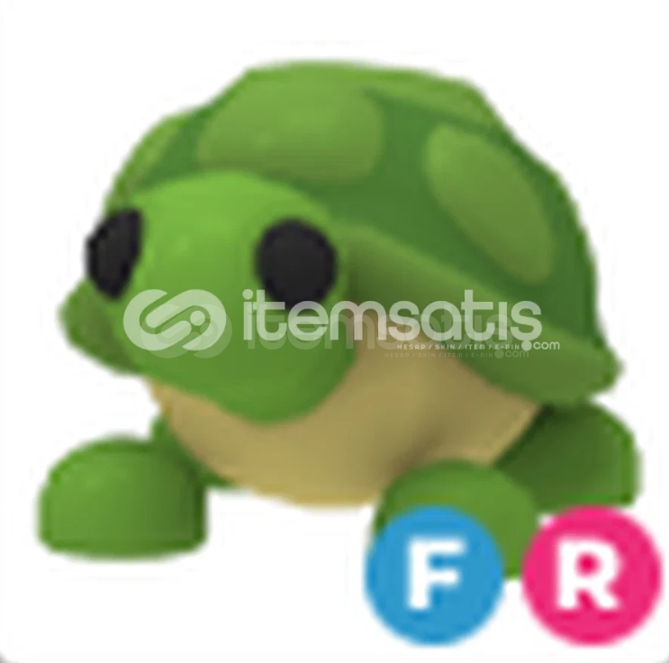 FR TURTLE EN UYGUNU FR TURTLE EN UYGUNU