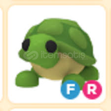 Fr Turtle