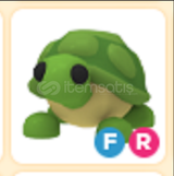 FR TURTLE