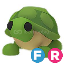 FR Turtle