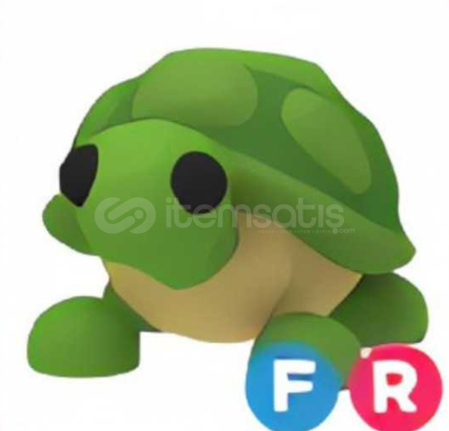 FR TURTLE  FR TURTLE
