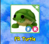 Fr TURTLE