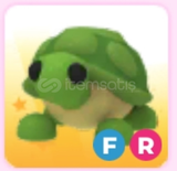 FR Turtle