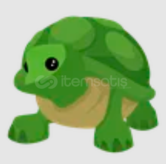 FR TURTLE ADOPT ME! FR TURTLE ADOPT ME!