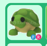 FR Turtle! Adopt Me