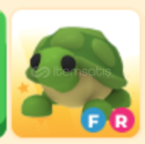 [FR TURTLE] Adopt Me Pet