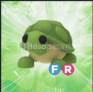 Fr Turtle En ucuzu