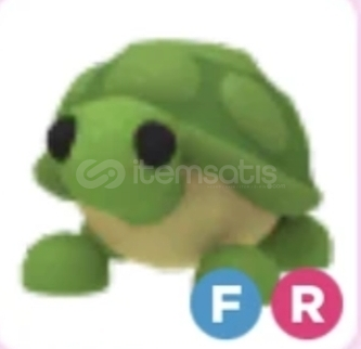 FR TURTLE EN UCUZU ALANA H.O FR TURTLE EN UCUZU ALANA H.O