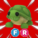 FR Turtle En Uygunu! 
