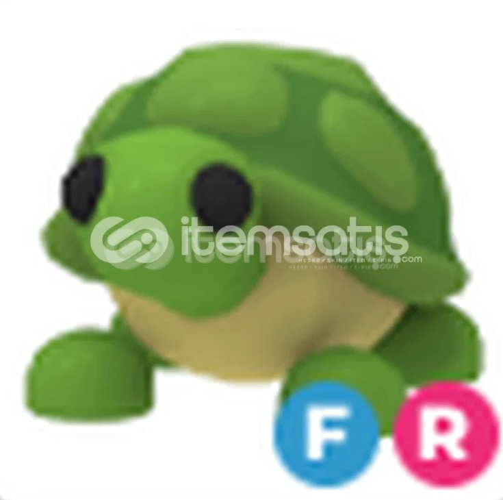 FR TURTLE EN UYGUNUDUR  FR TURTLE EN UYGUNUDUR