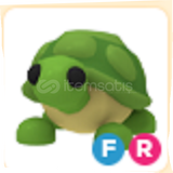 FR TURTLE PIYASANIN EN UCUZU Hızlı!