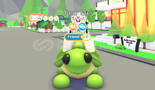 FR TURTLE + ride potion