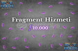 Fragment (10K)