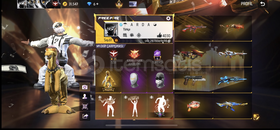 Free fire 80 ifade 9 evo hesap