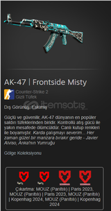 ✨ AK-47 | Frontside Misty Skin / CS:GO 2 ✨