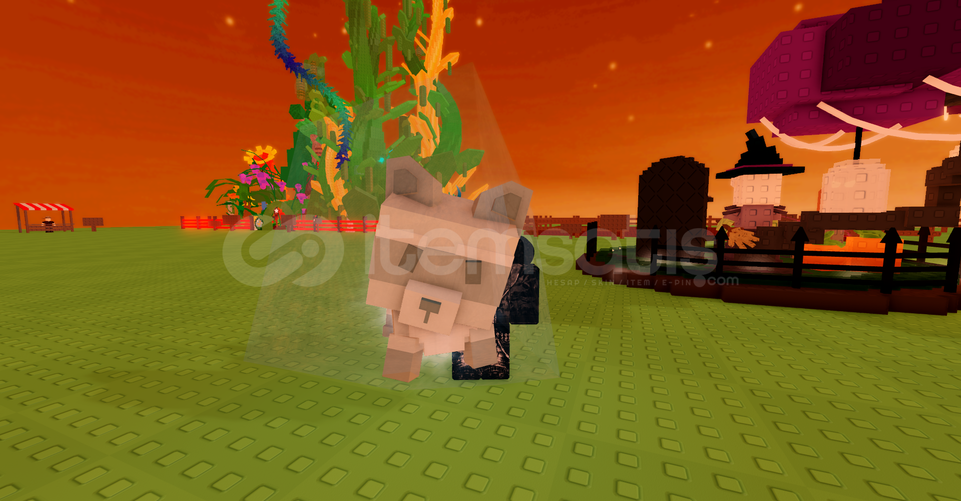 Frozen Raccoon Grow A Garden !En Ucuzu! Frozen Raccoon Grow A Garden !En Ucuzu!