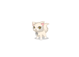 Fulffy Kitten Pet - MSP 2