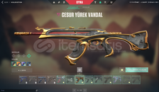 full dolu 13.000tl değerinde hesap