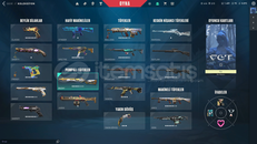 FULL+FULL CHAMPİONS 2021+395 SKİN LOL