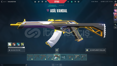 FULL+FULL MAINLEMELIK HESAP 5K VP YANINDA