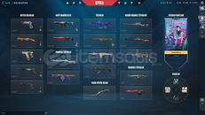 FULL + FULL GOLD HESAP