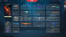 FULL + FULL GOLD HESAP