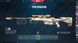 Full + Full Yüksek MMR Mainlik Hesap