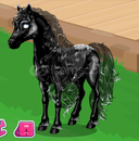 Full siyah cc etkinlik atı