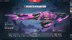 Full skinli Valorant hesap