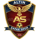 FUTBOL LOGOSU TASARLANIR(KİŞİYE ÖZEL)