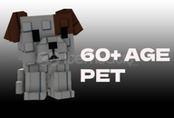 GAG 1x 60+ Age Pet / Hızlı Teslimat