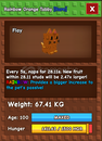 GAG 1x Huge Rb Orange Tabby / Hızlı Teslimat GAG 1x Huge Rb Orange Tabby / Hızlı Teslimat