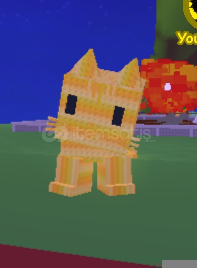 ✨-GAG 5/S CAT✨ ✨-GAG 5/S CAT✨