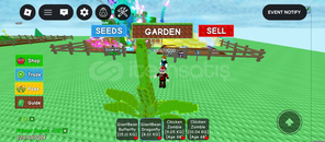 Gag 89 age giant bean dragon fly 