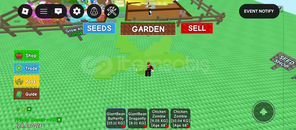 Gag 90 Age giant bean butterfly