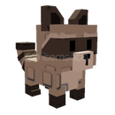 GAG RACCOON EN UCUZU GAG RACCOON EN UCUZU