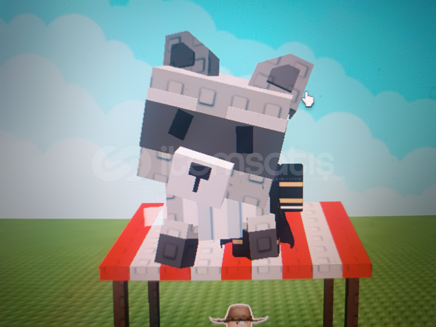 GAG RAİNBOW RACCOON GAG RAİNBOW RACCOON