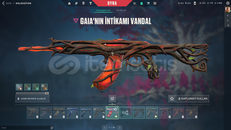Gaia vandal ve Yitik vandal - Gold 1 hesap
