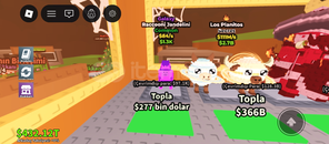 Galaxy Racooni Jandelini Galaxy Racooni Jandelini