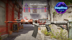 Galil AR | Connexion (Field-Tested)